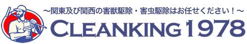 千葉を拠点に害虫駆除を行うクリーンキング1978