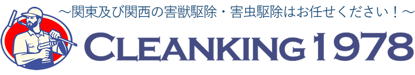 千葉県松戸市、千葉市を拠点に害虫駆除を行う「クリーンキング1978」です。ご要望に応じて害虫駆除以外にも、ネズミやコウモリ、ハトなど害獣や害鳥を巡るトラブルにも対応いたします。
