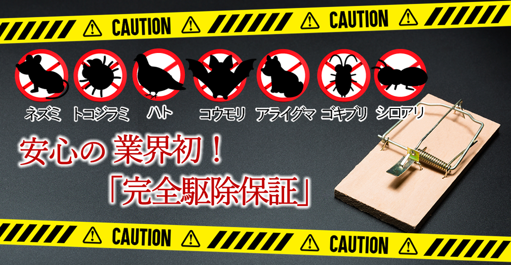 業界初！安心の「完全駆除保証」