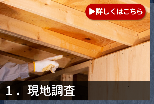 1.現地調査